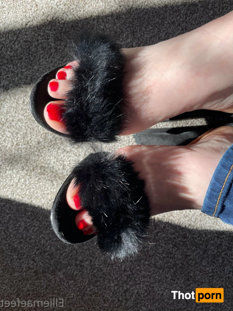 Ellie-Mae's Feet 7723010