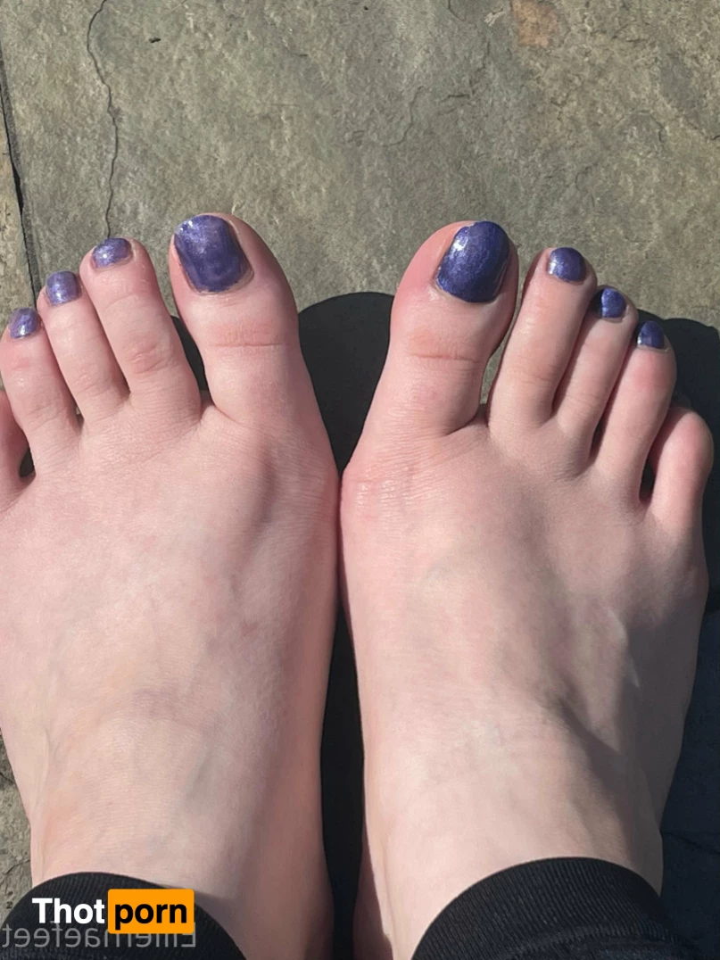 Ellie-Mae's Feet 7723021