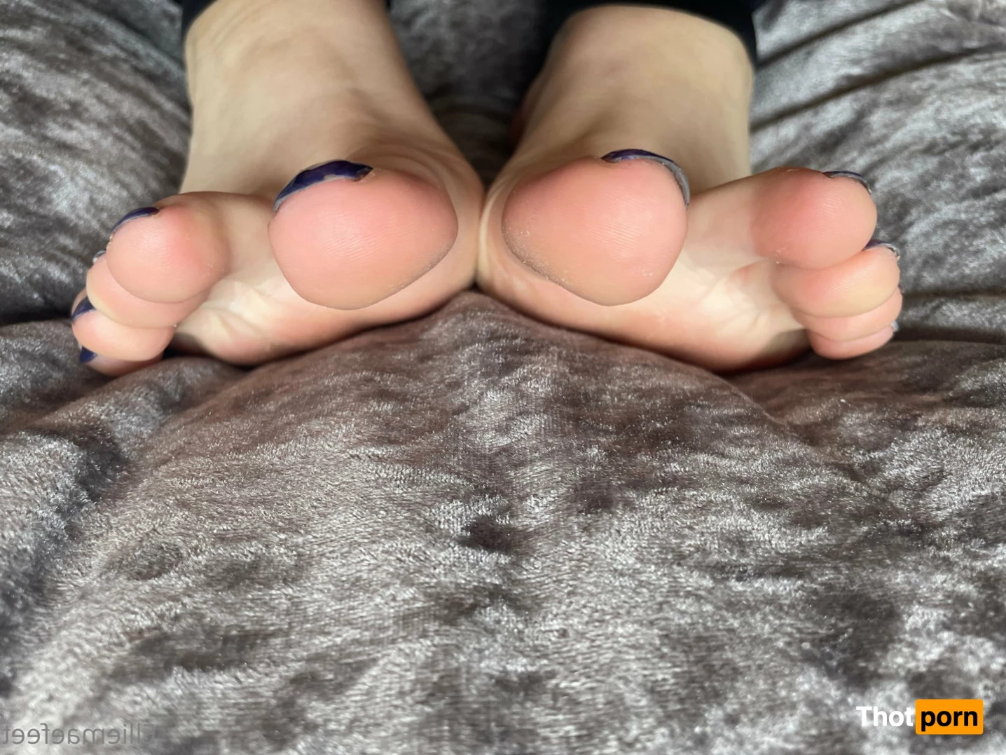 Ellie-Mae's Feet 7723039