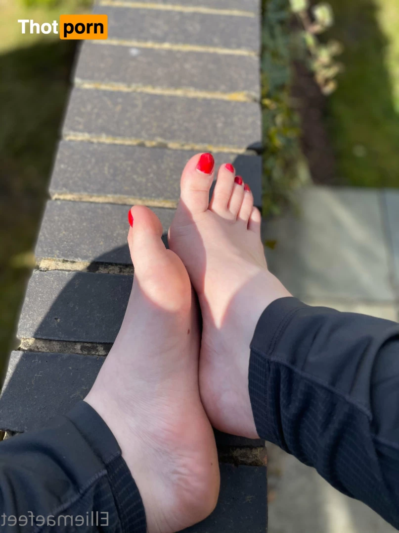 Ellie-Mae's Feet 7723052