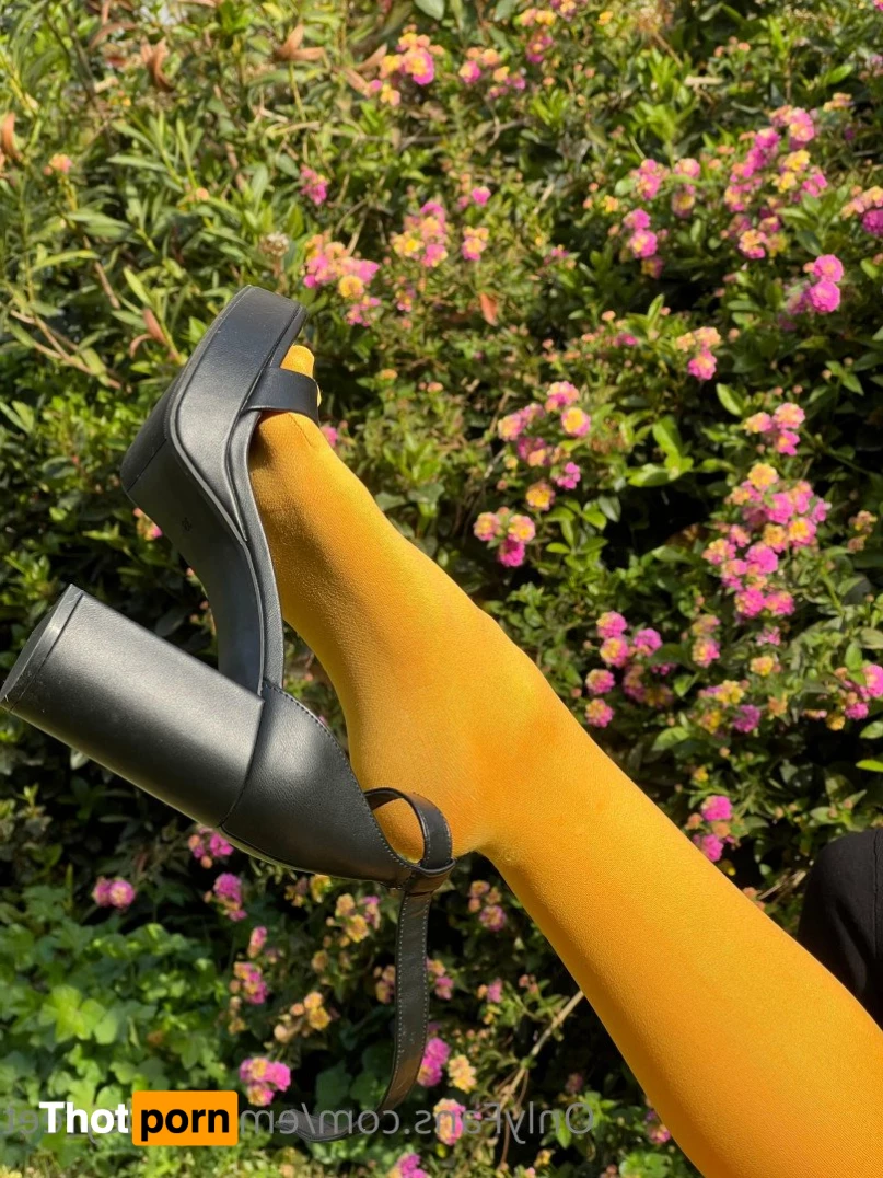 Emily Bailey 3435707