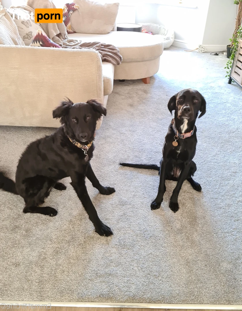 PUN QUEEN 👸 15469109