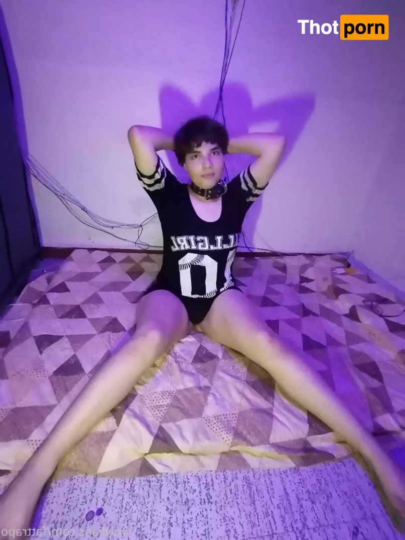 Fat Trapo 胖 3541892