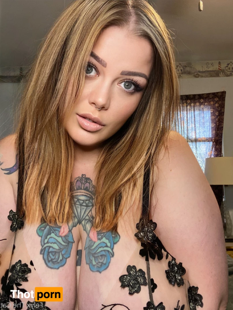 Felyx the Cat 6070573