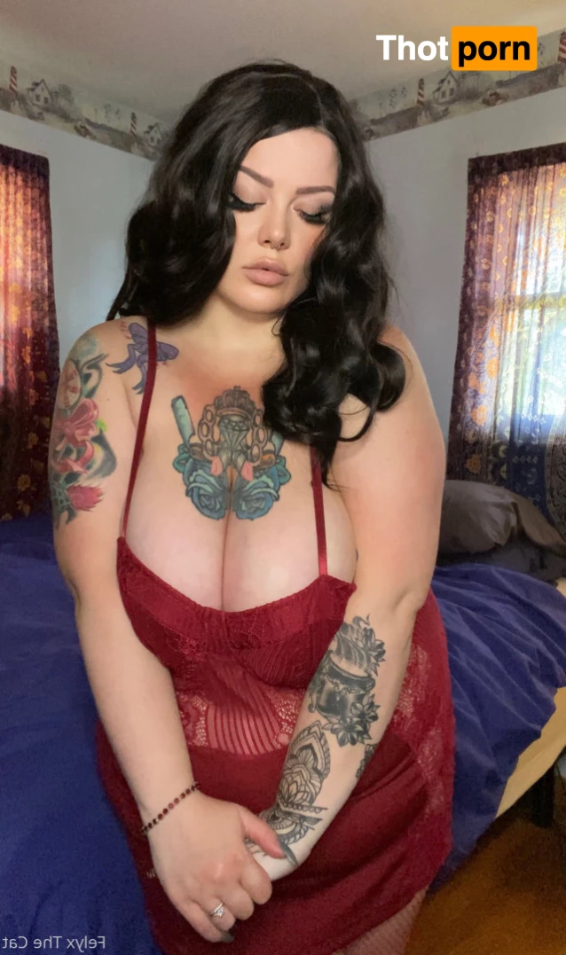 Felyx the Cat 6070626