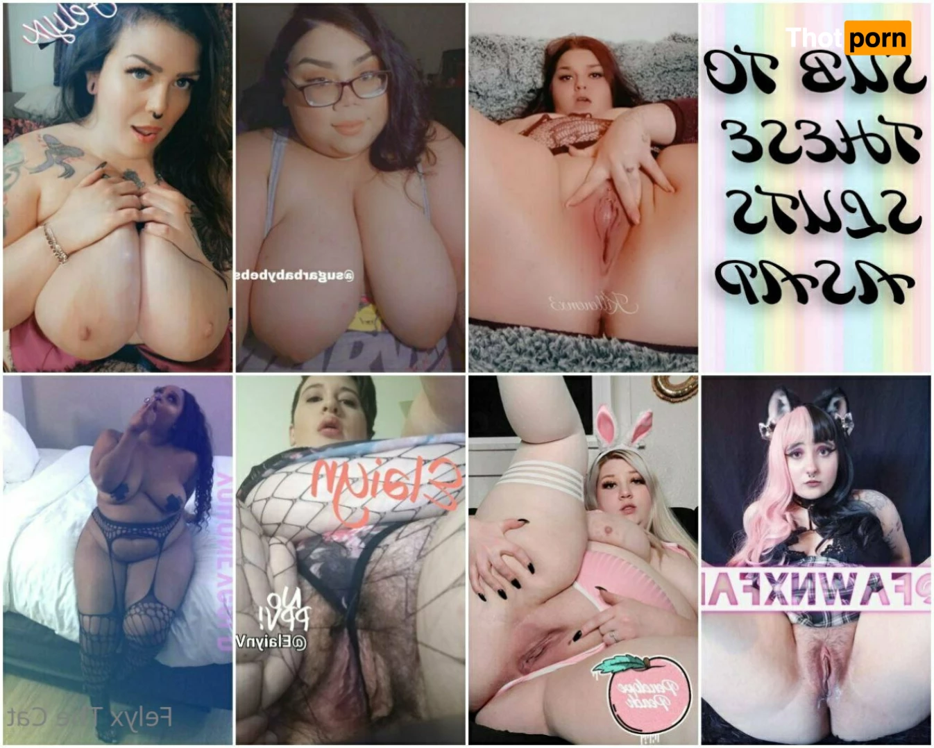 Felyx the Cat 6070816