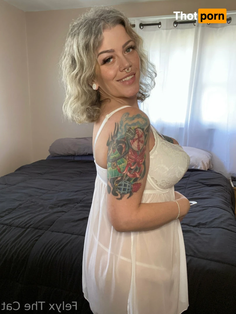 Felyx the Cat 13106180