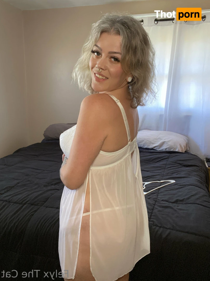 Felyx the Cat 13106300