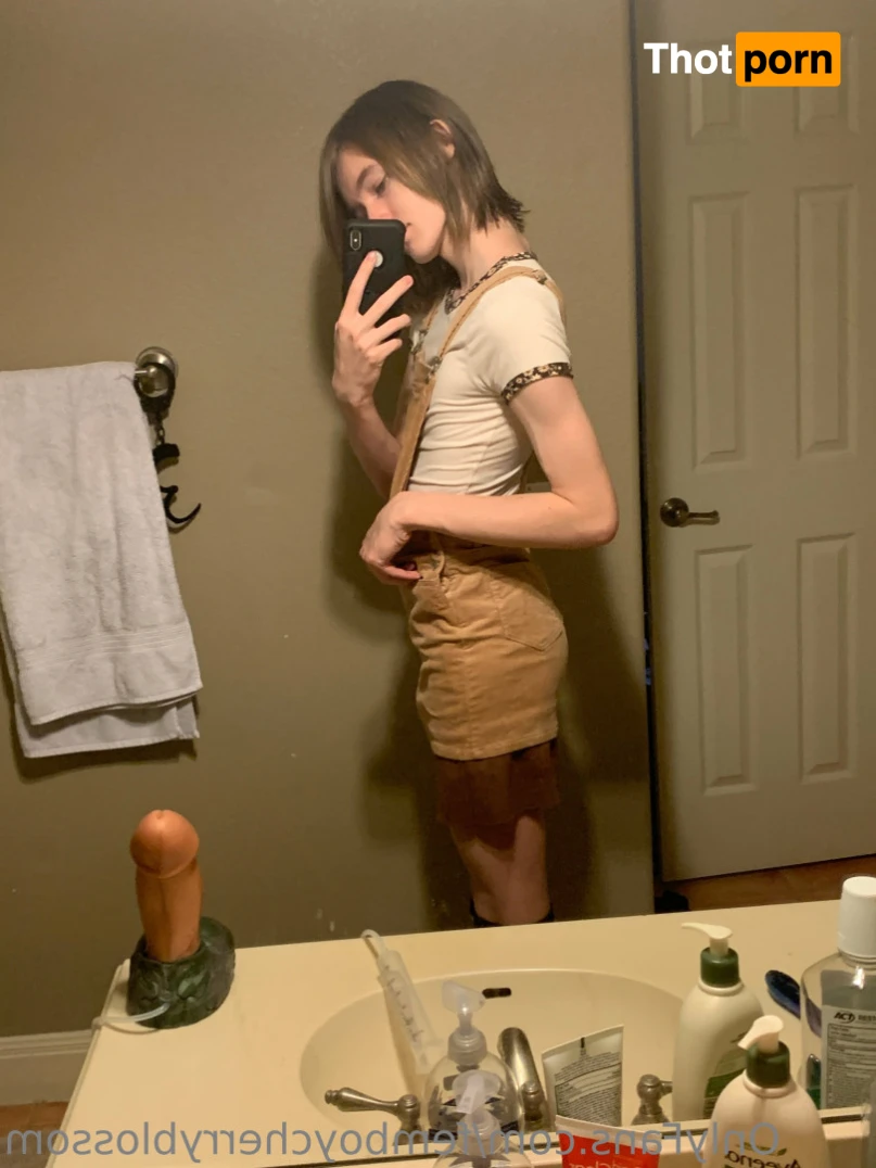 Cherry Blossom 13069174