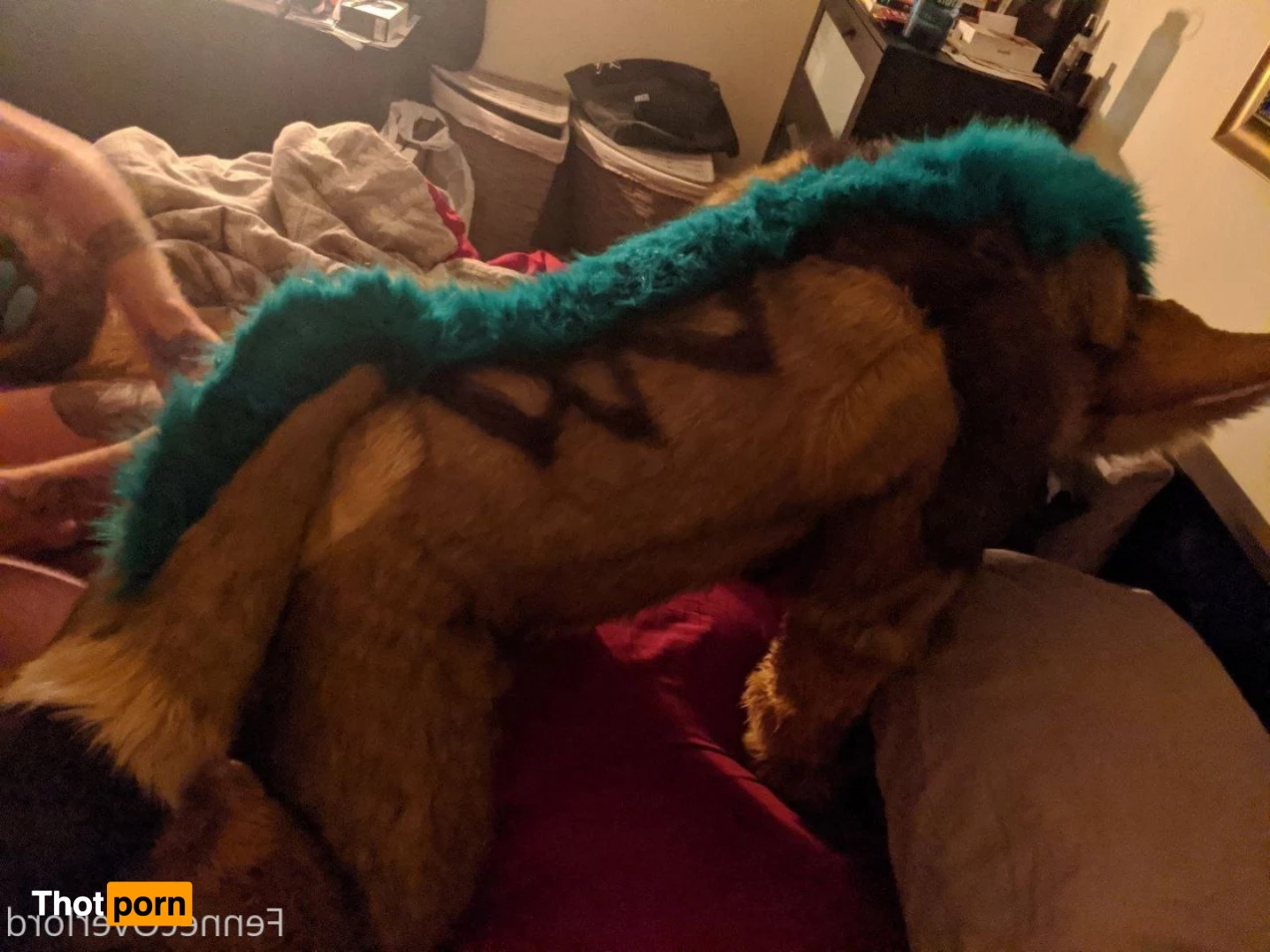 fennecoverlord 3215394