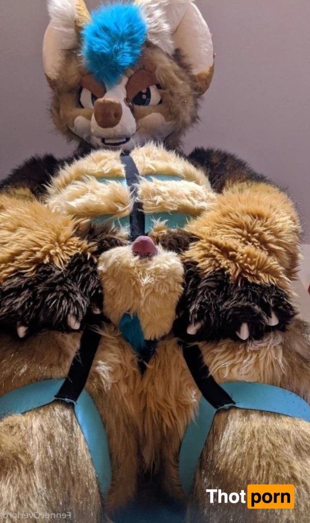 fennecoverlord 3215408