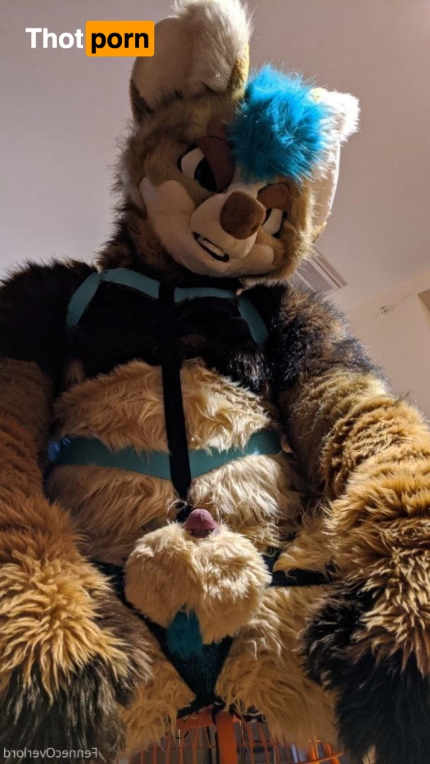 fennecoverlord 3215418