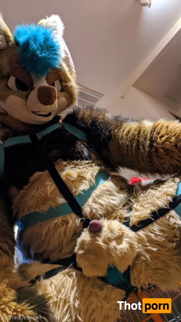 fennecoverlord 3215460