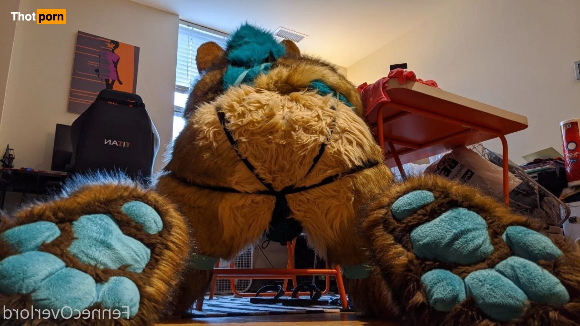 fennecoverlord 3215468