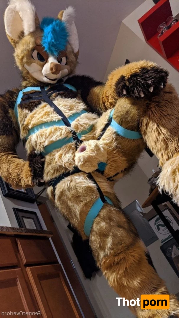 fennecoverlord 3215483