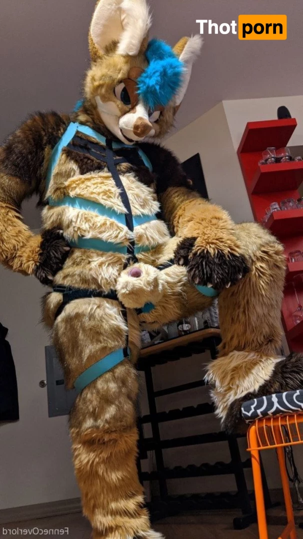 fennecoverlord 3215503