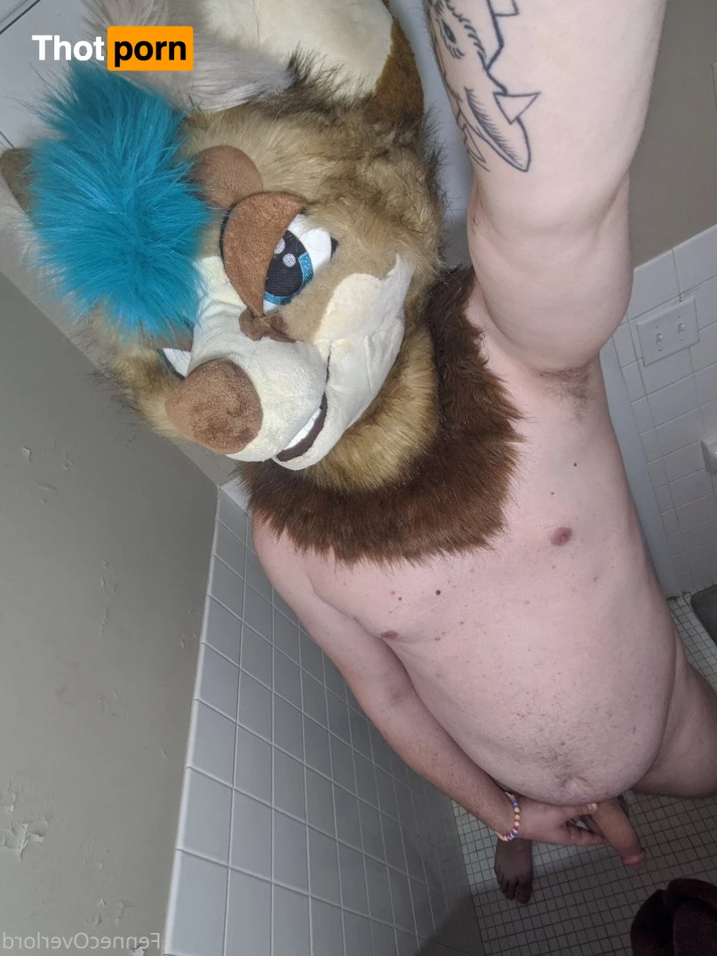 fennecoverlord 3215522