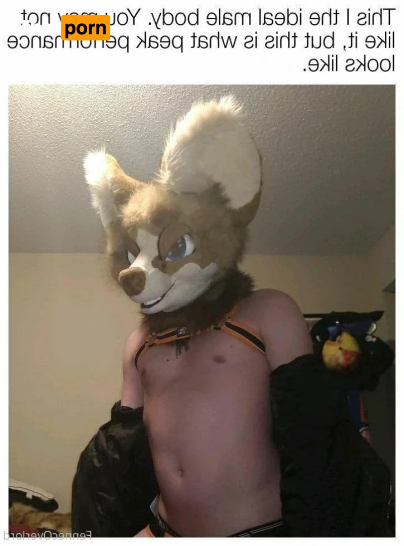 fennecoverlord 3215547