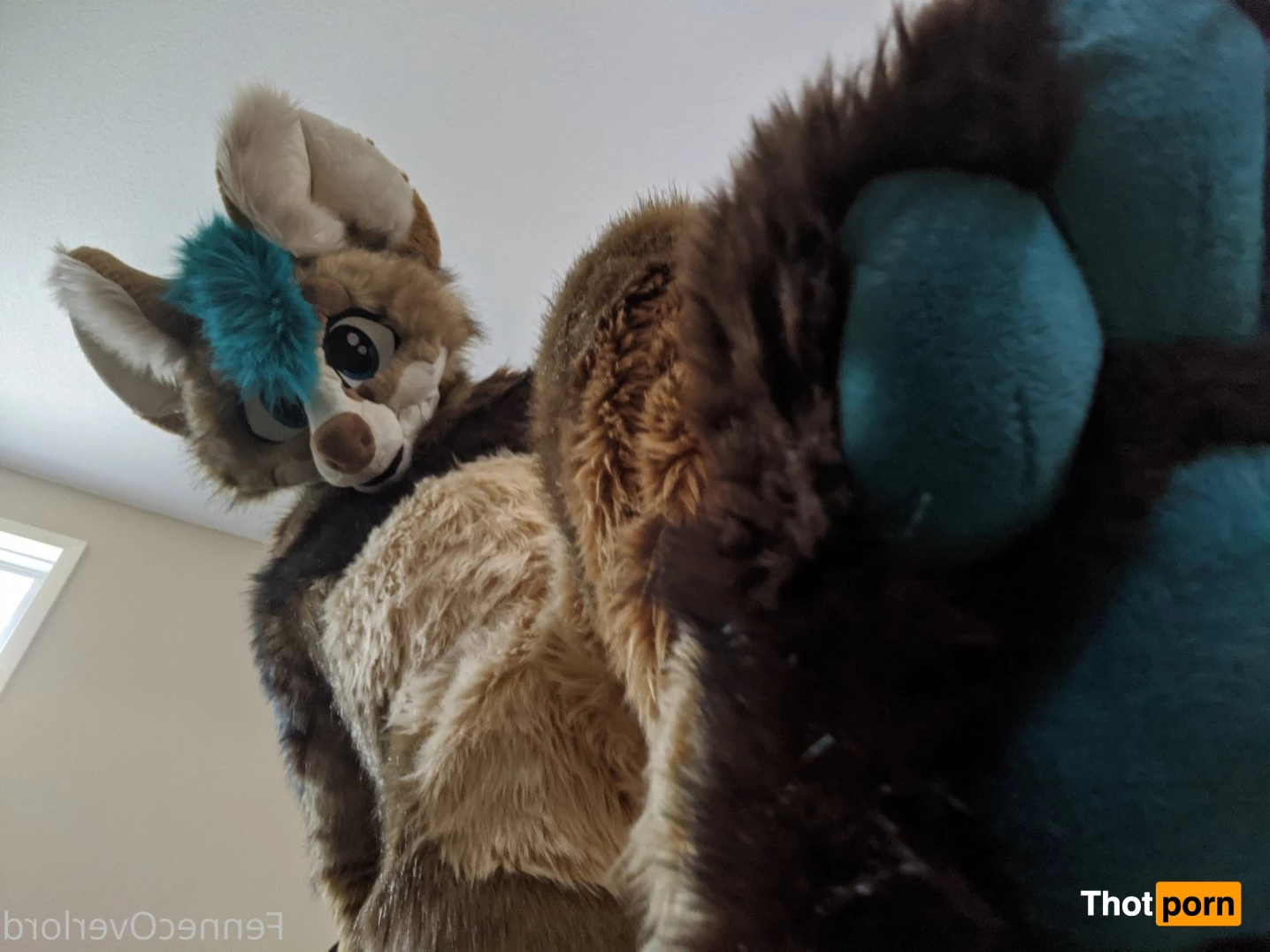 fennecoverlord 3215554