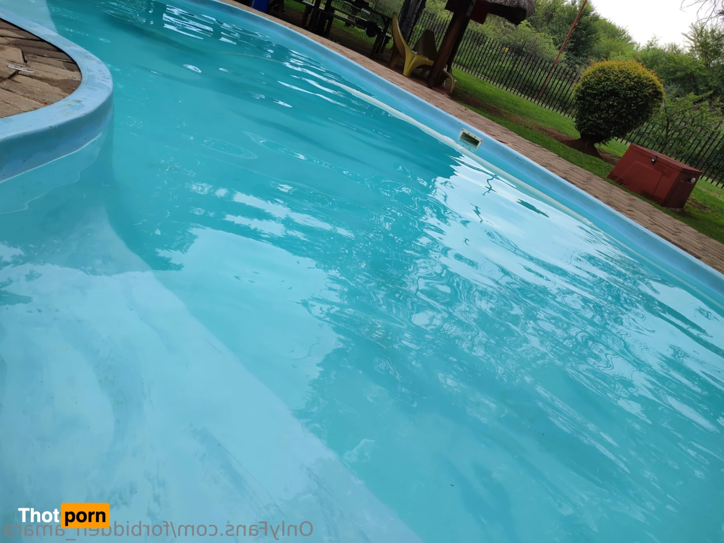 Forbidden Amara 13044648