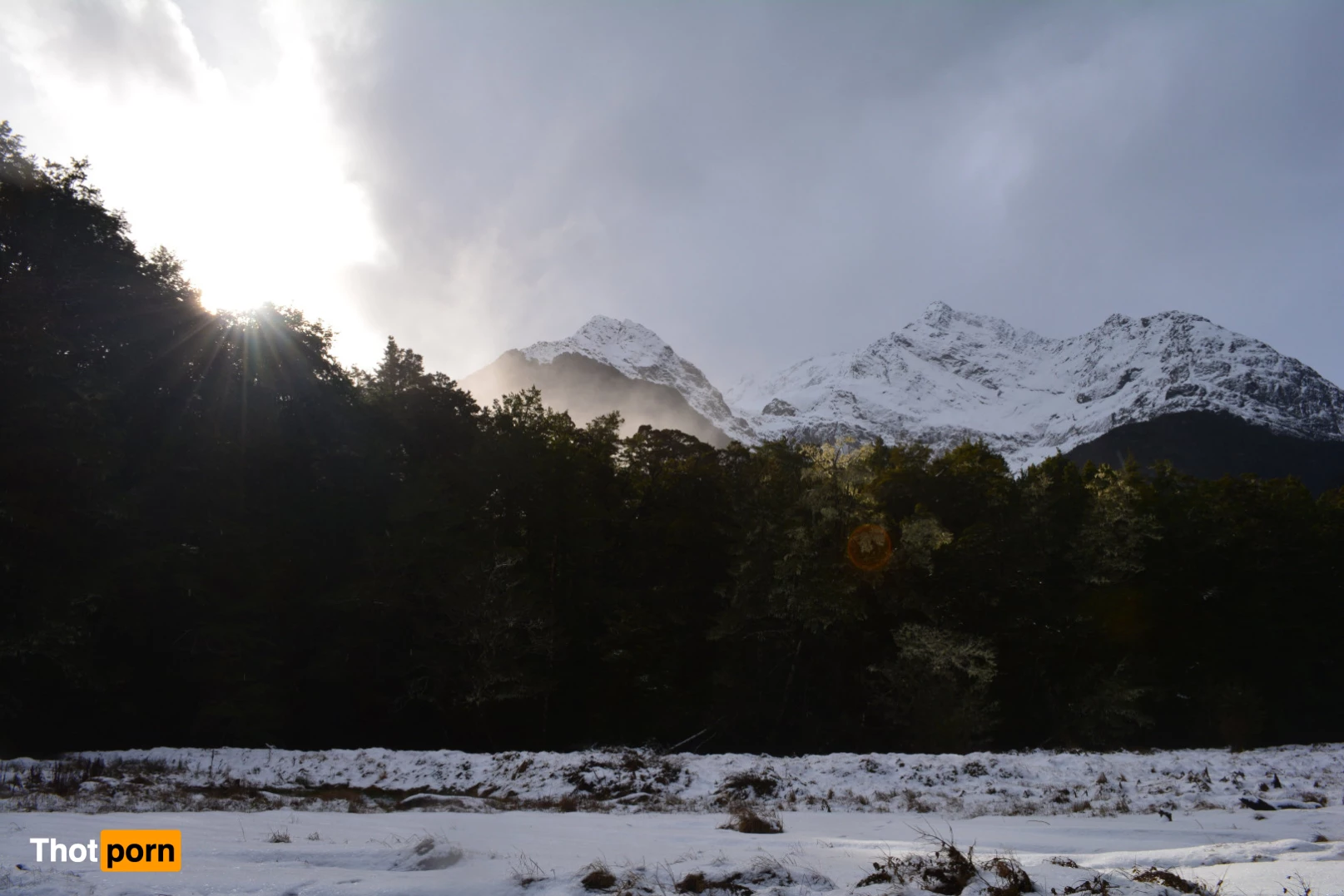 Forest Nymph 5825868