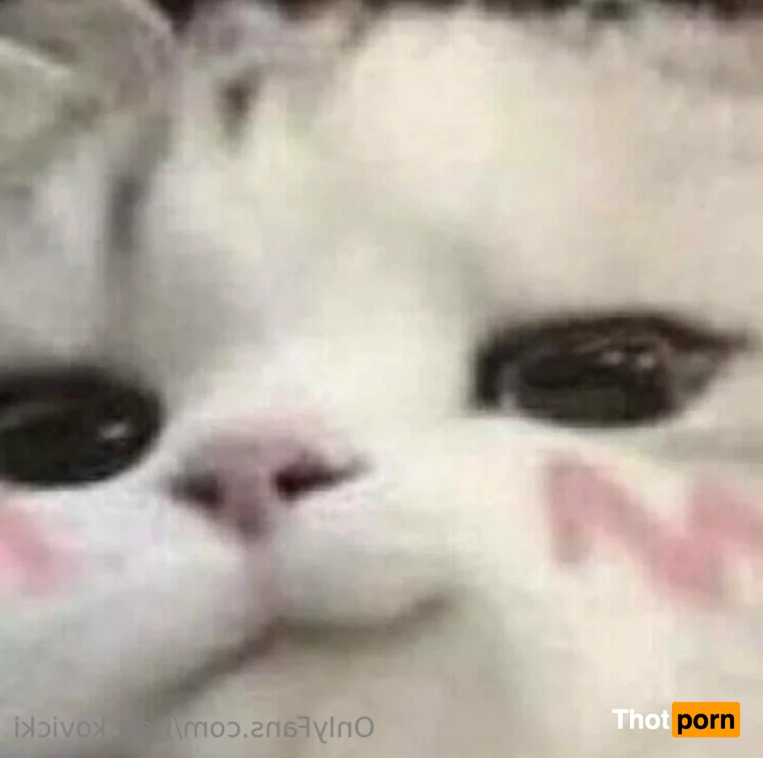 Free Kovicki 11152624