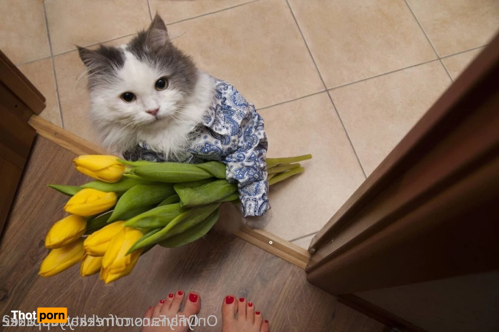 𝗛𝗢𝗥𝗡𝗬 𝐓𝐢𝐠𝐡𝐭 𝐀𝐬𝐢𝐚𝐧 🙈 💦 3655432