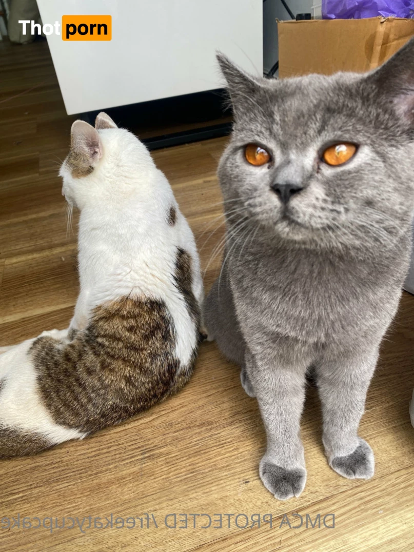 𝗛𝗢𝗥𝗡𝗬 𝐓𝐢𝐠𝐡𝐭 𝐀𝐬𝐢𝐚𝐧 🙈 💦 5897977