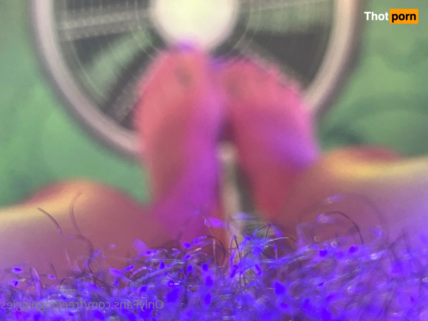 MsLongPiggies 14159021