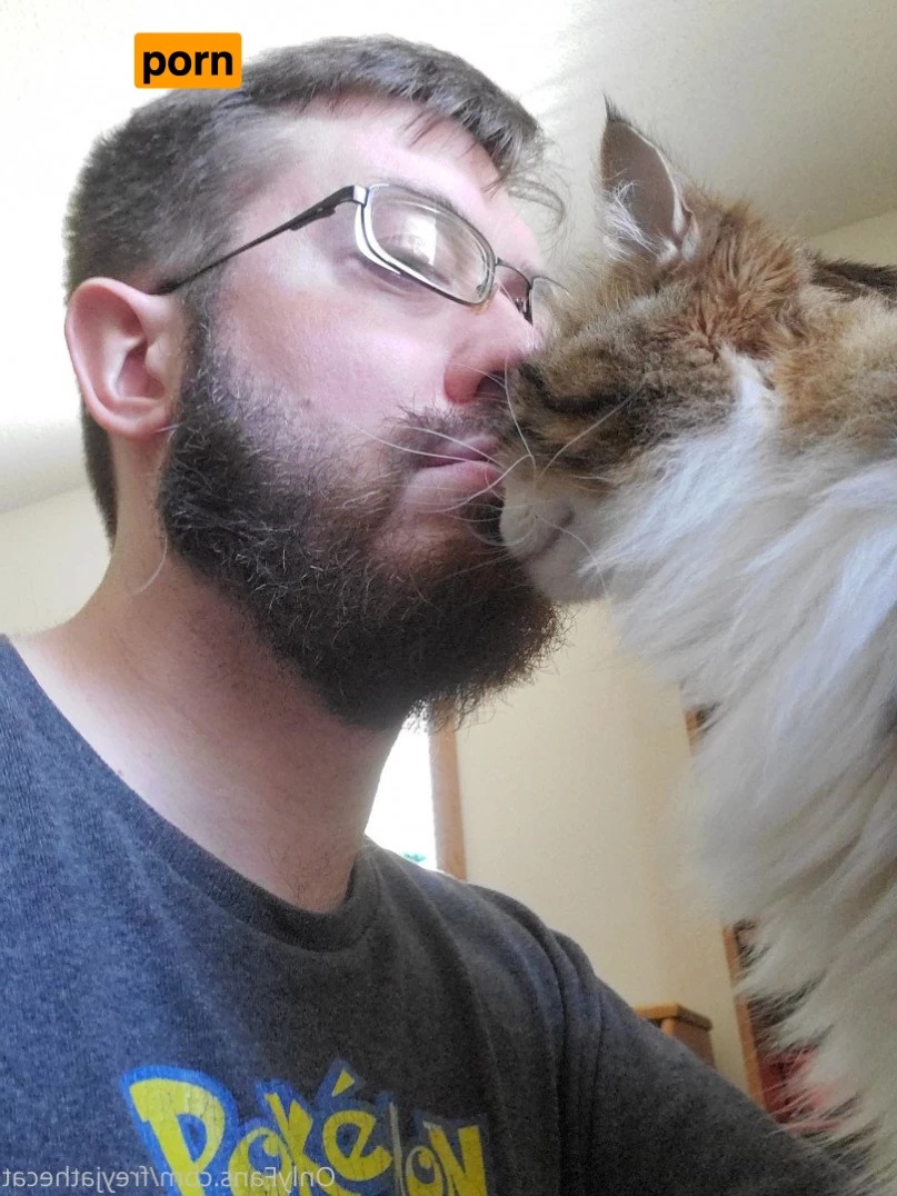 Freyja the Cat 3372263