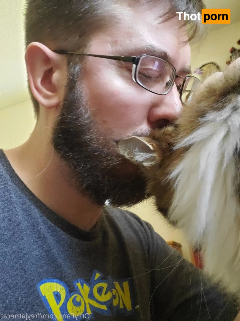 Freyja the Cat 3372323