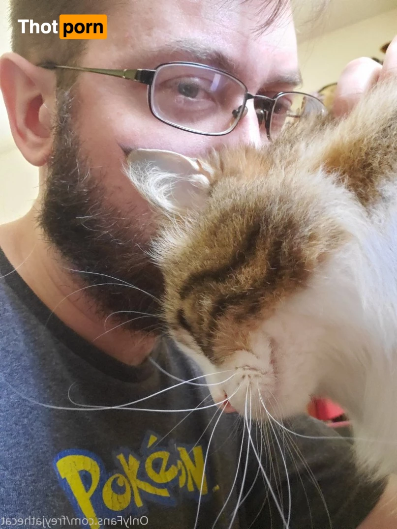 Freyja the Cat 3372347