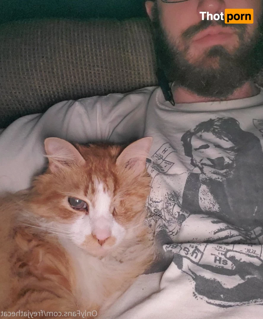 Freyja the Cat 3372375