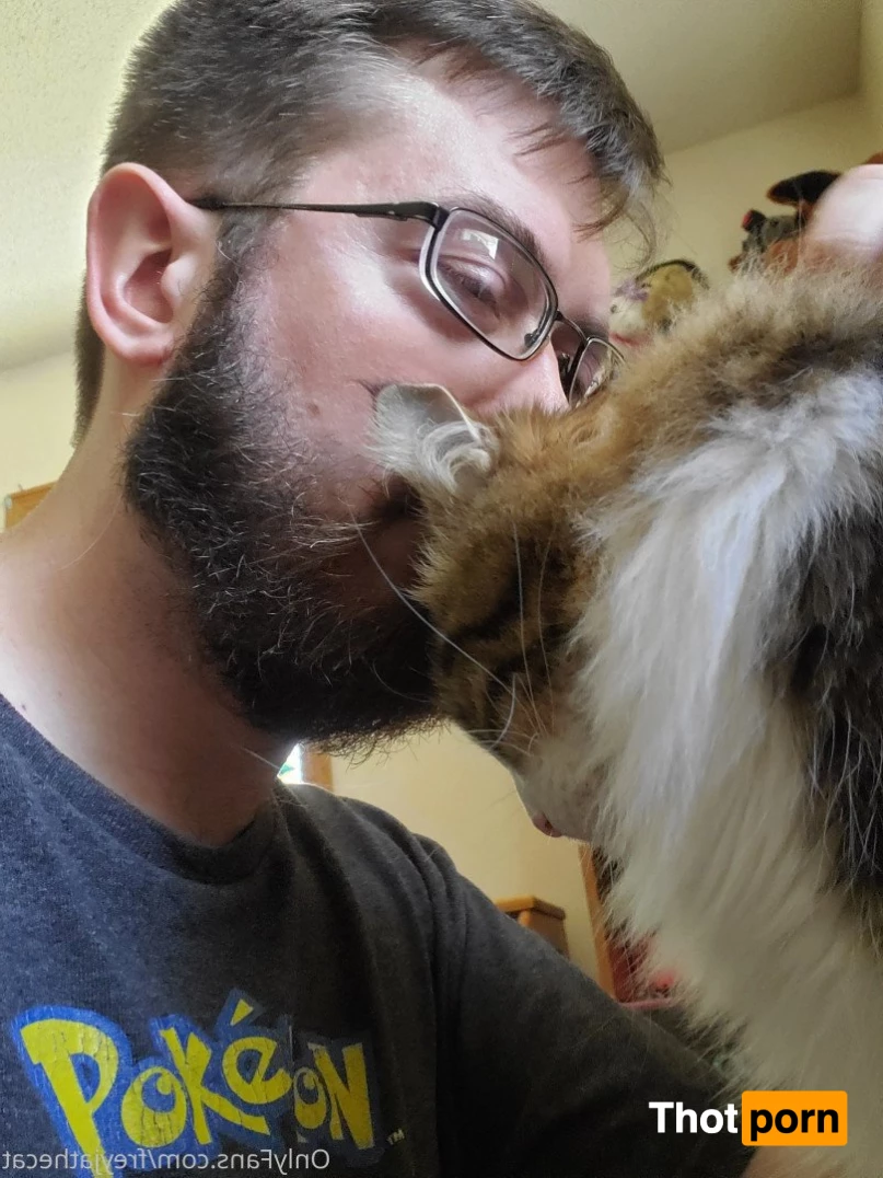 Freyja the Cat 3372537