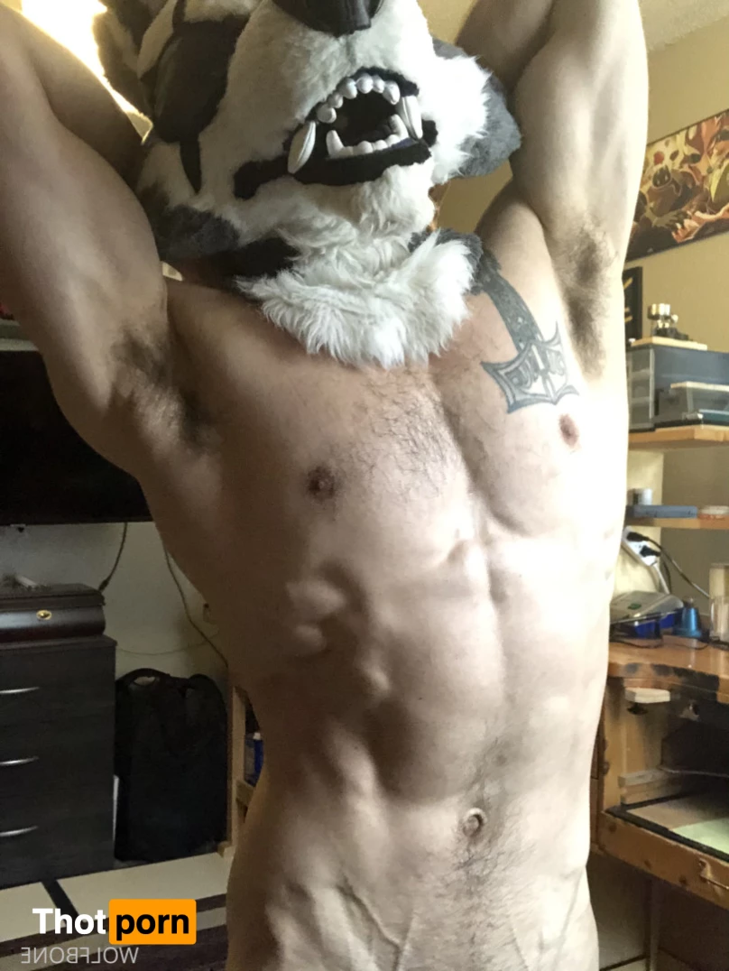 Mr. Wolf 🐺 🌟 5824688