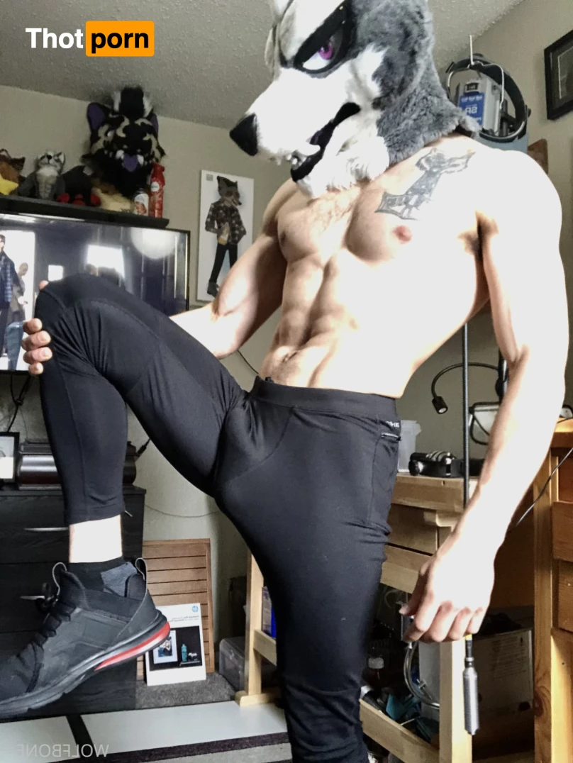 Mr. Wolf 🐺 🌟 5824746