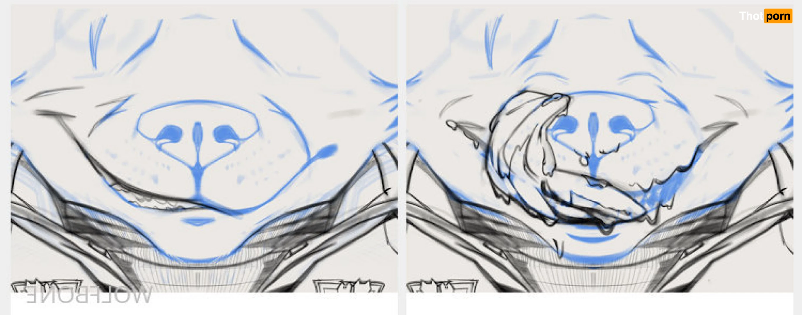 Mr. Wolf 🐺 🌟 5824873