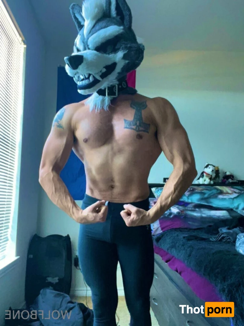 Mr. Wolf 🐺 🌟 12873992