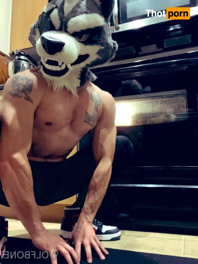 Mr. Wolf 🐺 🌟 12874205