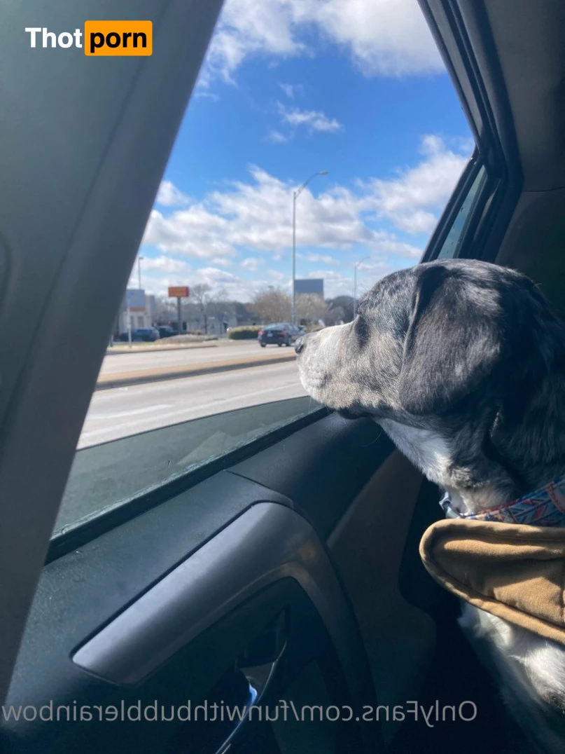 FunwithBubblerainbow 3381859