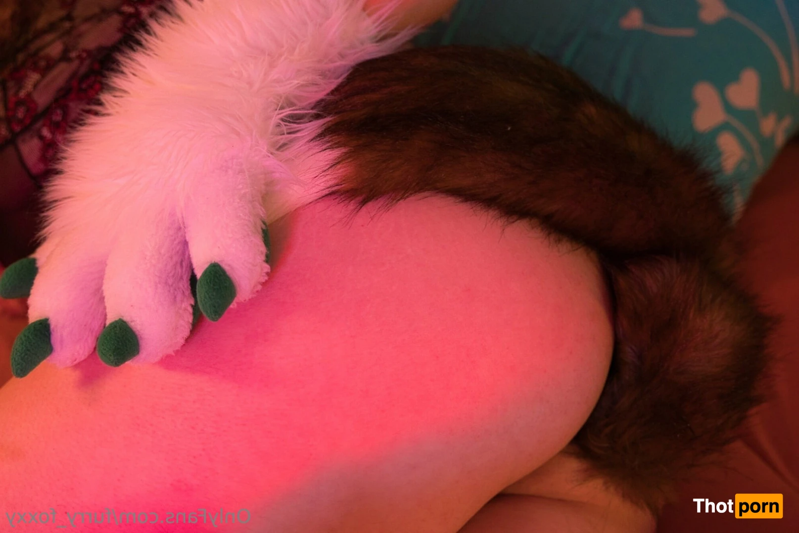 Furry_Foxxy 14132359