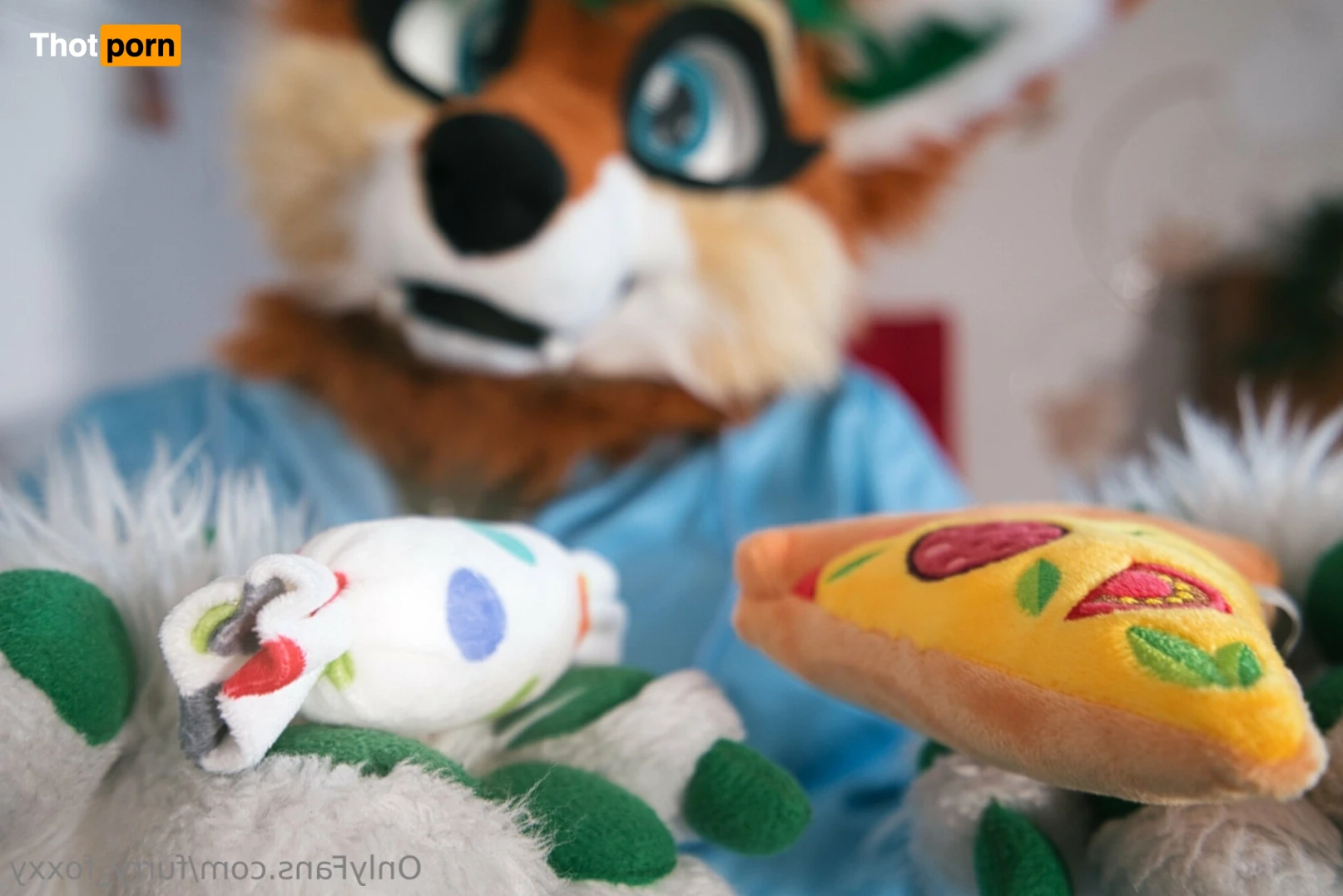 Furry_Foxxy 14132459