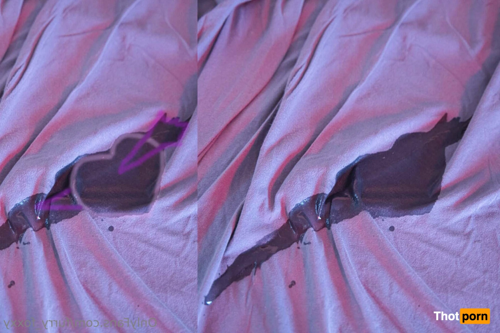 Furry_Foxxy 14132631