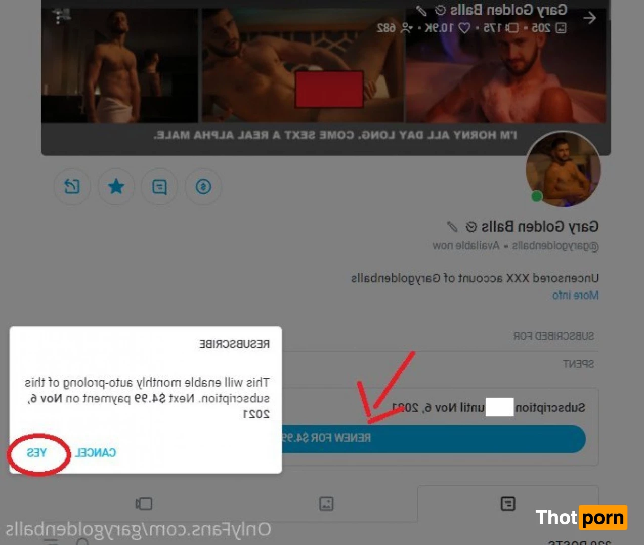 Gary Golden Balls 3375622