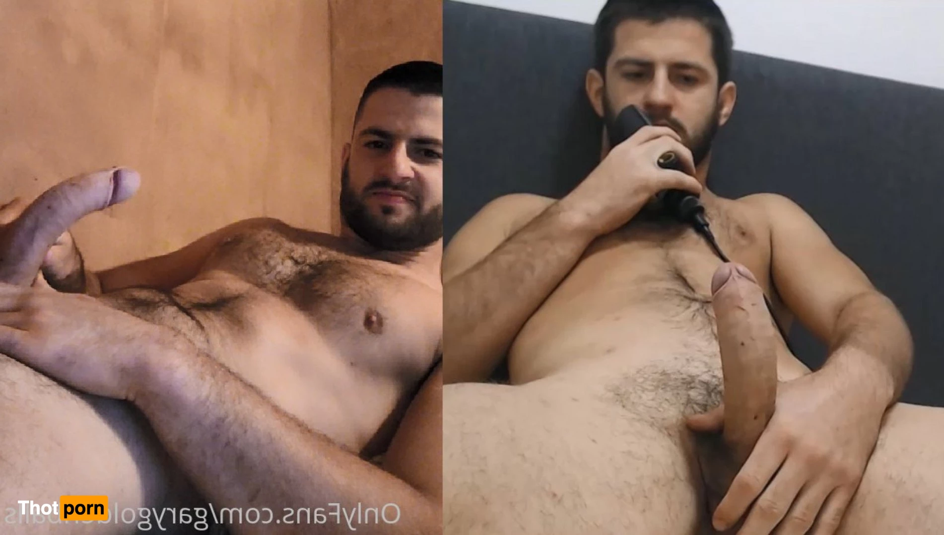 Gary Golden Balls 3375706