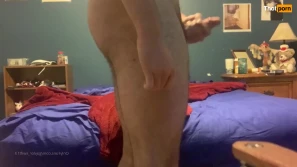 3376647