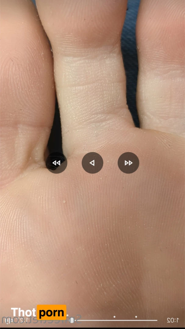 Giantess Mason Toy Box 5929932