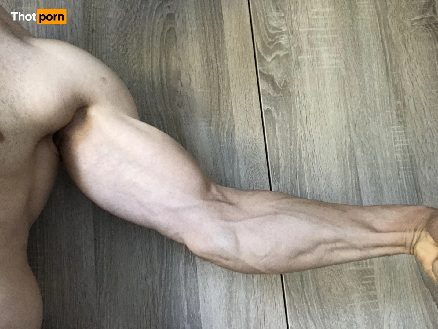 GiantSteelGod 3501736