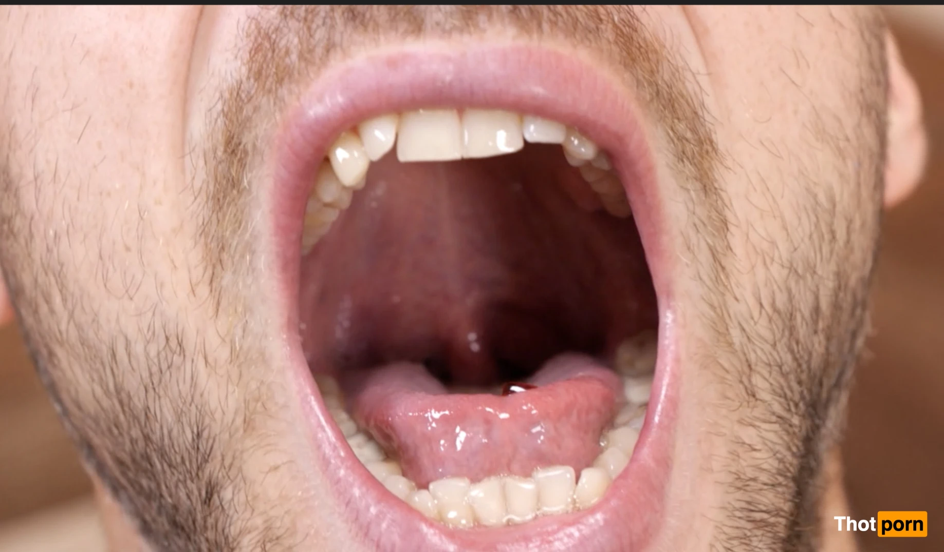 GiantSteelGod 12795945