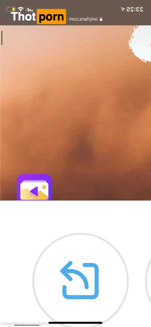 Gigantits 🐱 9532886